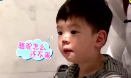 嗯哼霍思燕爆料视频,亲子互动视频曝光