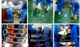 天津配餐爆料视频,揭露后厨卫生与食品安全问题